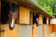 free Beaghmore stable construction quotes